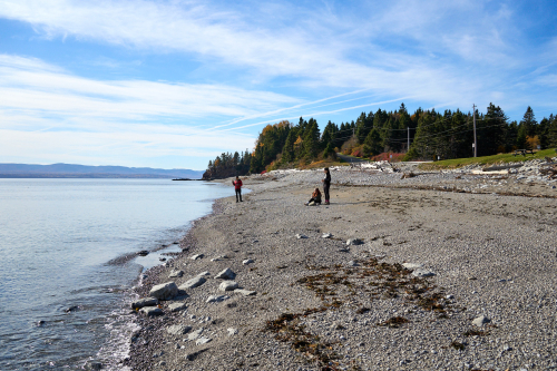 Eau,Plage,Petit-Gaspé,Milieu naturel,Forêt,Parc Forillon,Saison,Automne,Parc provincial,Jour,Temps